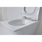 Подвесной унитаз Jacob Delafon Grands Boulevards EDW102-00 безободковый Подвесной унитаз Jacob Delafon Grands Boulevards EDW102-00 безободковый